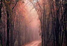 实力悬殊，比赛结果毫无悬念！