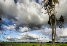 诚实守信，篮球比赛中的风云变幻由真心引领