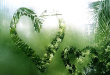 小牛兵团勇敢拼搏，创造逆转奇迹