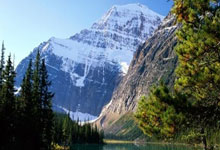 皇家贝蒂斯难求一胜，保级形势危急