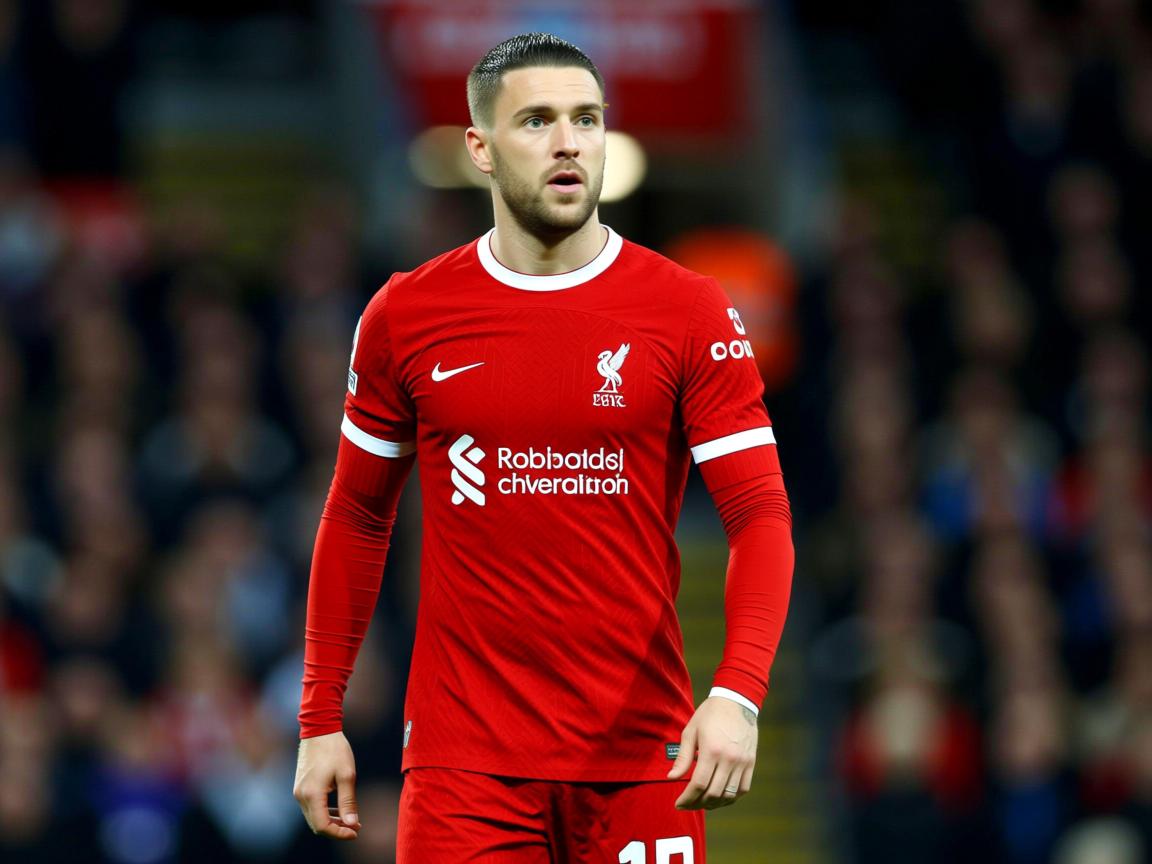 开云体育app注册-2026世界杯历史纪录全面曝光